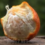 لحظات راسخة