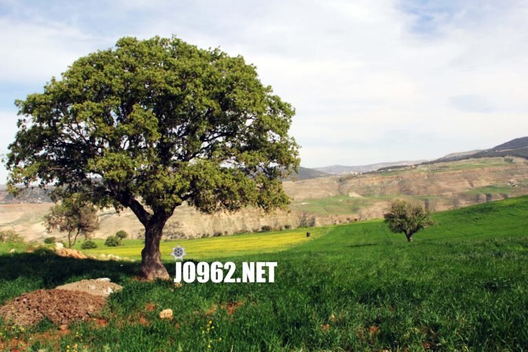 ربيع الأردن